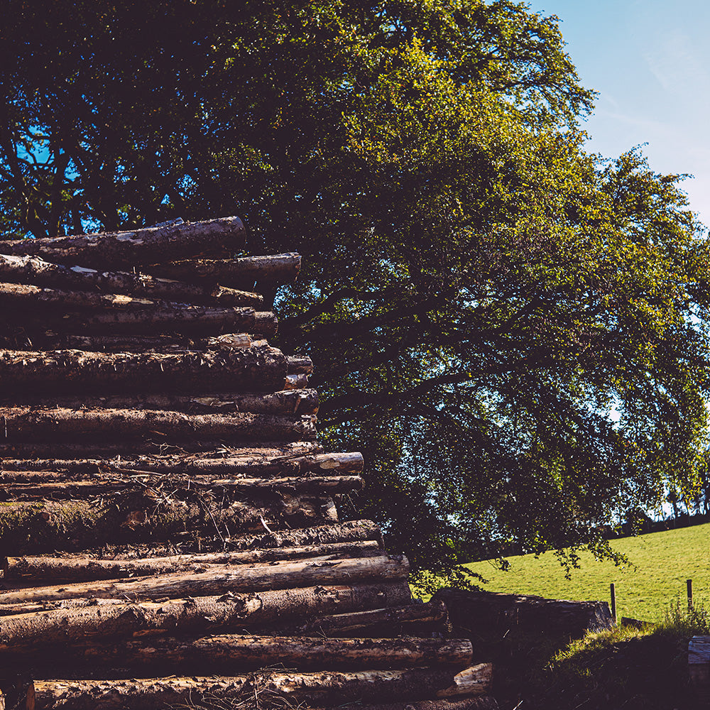 Firewood Delivery to Republic of Ireland