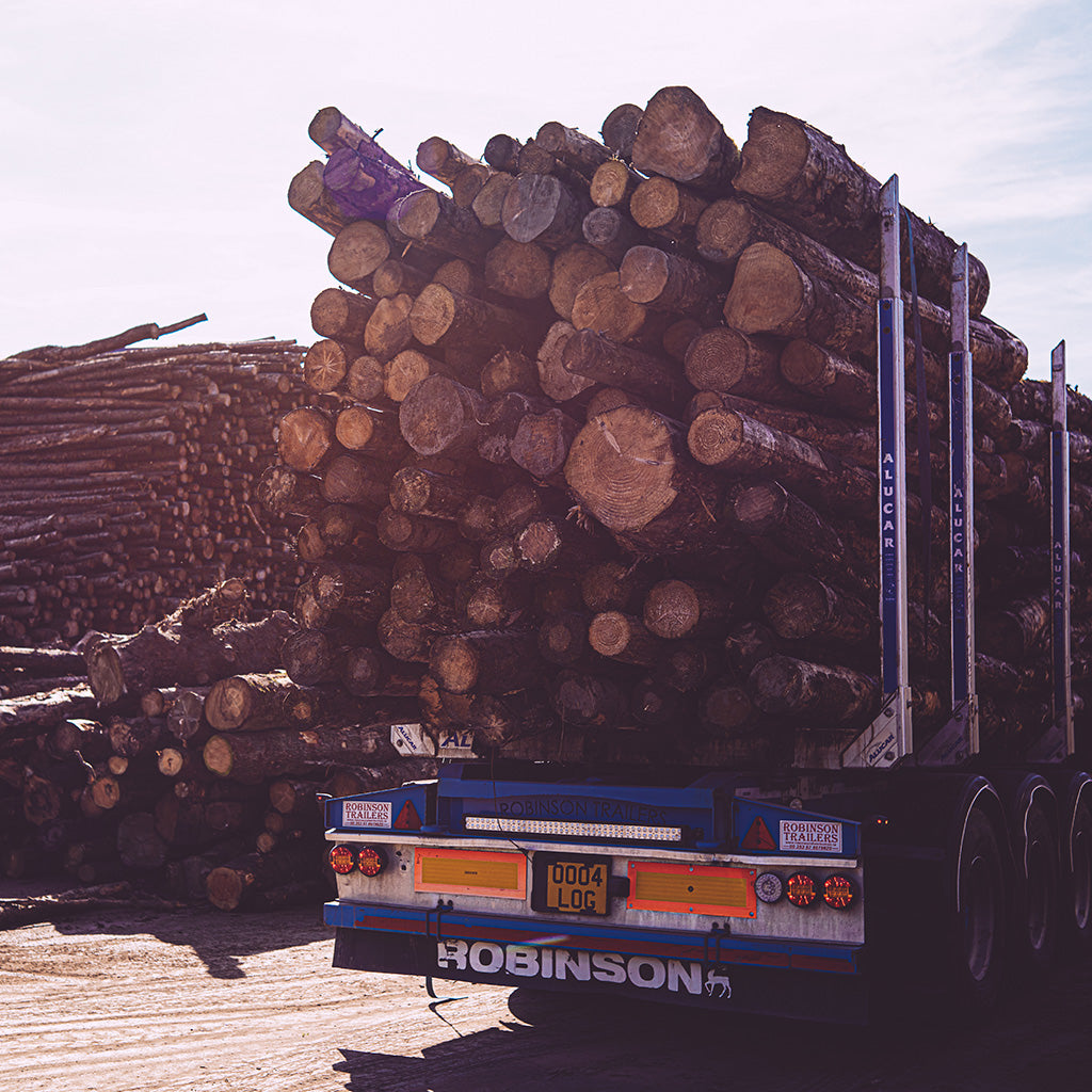 Local to Surefire Wood