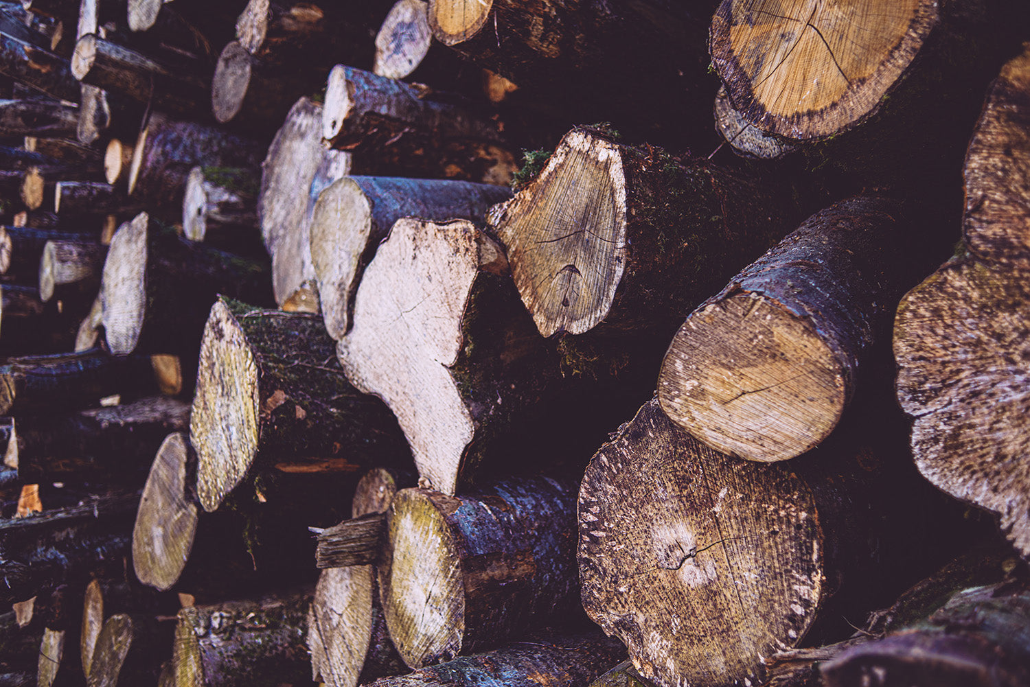 FSC® Certified Products