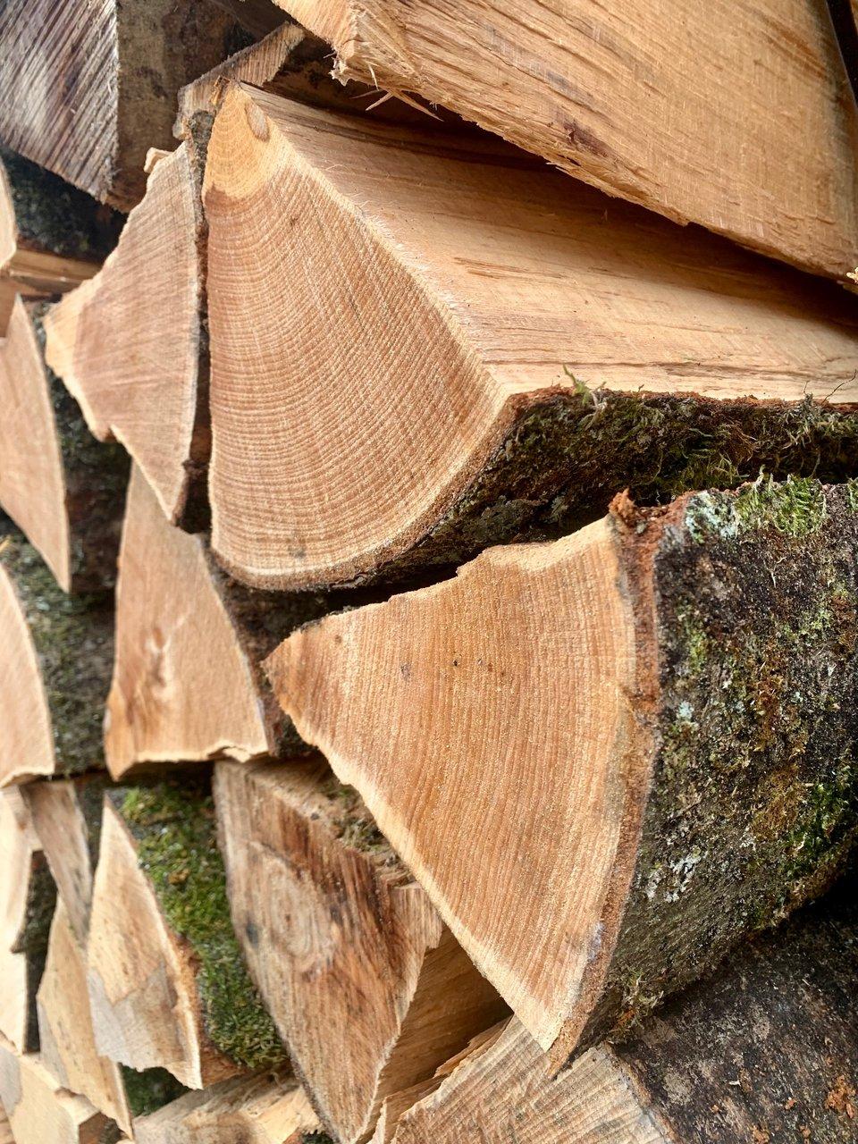 Is It Illegal to Sell Wet Logs in Ireland? | Firewood Rules