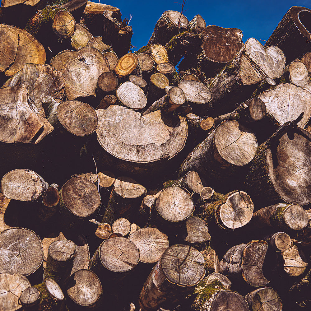 What Is The Best Firewood for Wood Burning Stoves: The Complete Guide to Hardwood, Softwood & Kiln Dried Logs: The Complete Expert Guide